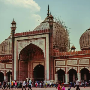 Explore India's Golden Triangle: A 7-Day Adventure from Delhi Airport to Agra, Ranthambore, and Jaipur for 7 days with Coxan Tours and discover unforgettable experiences - Photo 8