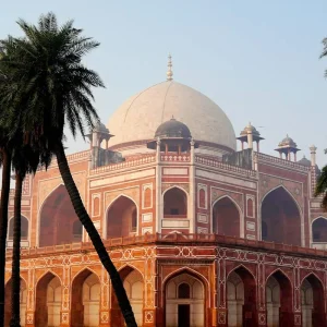 Explore India's Golden Triangle: A 7-Day Adventure from Delhi Airport to Agra, Ranthambore, and Jaipur for 7 days with Coxan Tours and discover unforgettable experiences - Photo 9