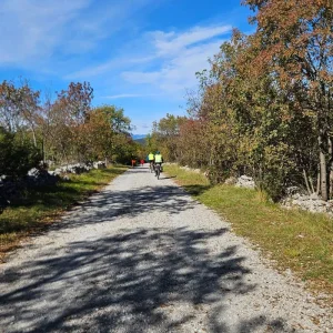 Explore  for 8 days with Helia Travel Agency and discover unforgettable experiences - Photo 3