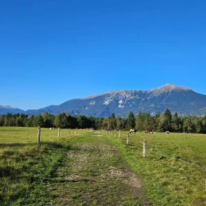 Explore  for 8 days with Helia Travel Agency and discover unforgettable experiences - Photo 8