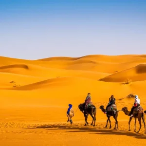 Explore 4 Days Luxury Tour From Marrakech To Merzouga for 4 days with Discover Morocco Tours and discover unforgettable experiences - Photo 3