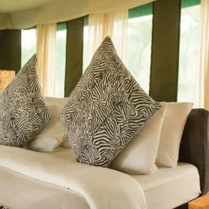 Explore Discover The World-class 3-Day Tanzania Safari From Zanzibar (Fly In - Fly Out) for 3 days with Africa Natural Tours and discover unforgettable experiences - Photo 7