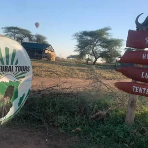 Explore Discover The World-class 3-Day Tanzania Safari From Zanzibar (Fly In - Fly Out) for 3 days with Africa Natural Tours and discover unforgettable experiences - Photo 8
