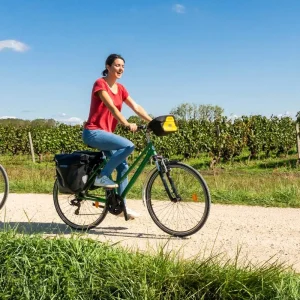 Explore Loire à Vélo – 7 Day Luxury Self-Guided *CYCLE* (All Inclusive) for 7 days with Climbing Mountains and discover unforgettable experiences - Photo 2