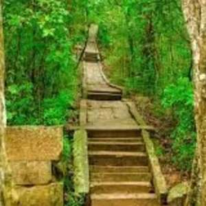 Explore Sri Lanka (Amazing Trails) – Guided *TREK*CYCLE* (All Inclusive) for 16 days with Climbing Mountains and discover unforgettable experiences - Photo 6