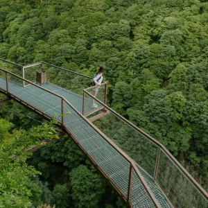 Explore Georgia, Svaneti and Kazbegi – Guided *TREK* (All Inclusive) for 14 days with Climbing Mountains and discover unforgettable experiences - Photo 5