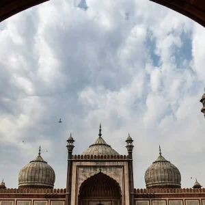 Explore Best of India: 7-Day Golden Triangle Tour with Delhi, Jaipur, Agra, & Varanasi via Super Fast Train for 7 days with Coxan Tours and discover unforgettable experiences - Photo 6