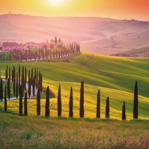 Explore Car Tour From the hilly Landscape of Tuscany to the Jewels of the Mediterranean for 9 days with DERTOUR and discover unforgettable experiences - Photo 2