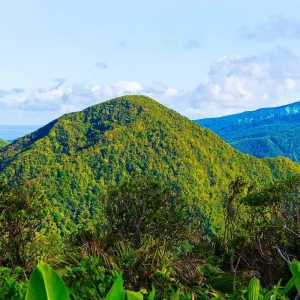 Explore Discover the yachting islands of the Caribbean 2026 - 15 Days (including St John's) for 15 days with Emerald Cruises and discover unforgettable experiences - Photo 3