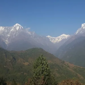 Explore Ghorepani Poonhill Trek and Jungle Safari for 13 days with Himalaya Heart Treks & Expedition[P] Ltd  and discover unforgettable experiences - Photo 7