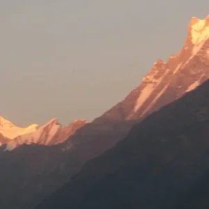 Explore Ghorepani Poonhill Trek and Jungle Safari for 13 days with Himalaya Heart Treks & Expedition[P] Ltd  and discover unforgettable experiences - Photo 8
