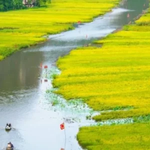 Explore A 12-Day Culinary Journey Through Vietnam for 12 days with Responsible Asia and discover unforgettable experiences - Photo 2