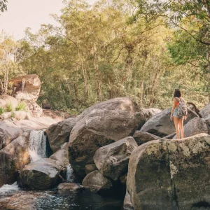 Explore Kuranda Skyrail and Scenic Rail ex Cairns (Start Cairns, Day Tour) for 1 days with AAT Kings and discover unforgettable experiences - Photo 5
