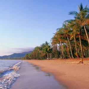 Explore Kuranda Skyrail and Scenic Rail ex Cairns (Start Cairns, Day Tour) for 1 days with AAT Kings and discover unforgettable experiences - Photo 7