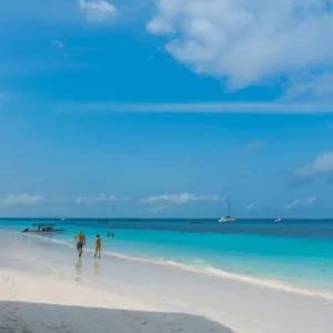 Explore Ultimate 2-day Zanzibar Beach Holiday with reasonable price for 2 days with Africa Natural Tours and discover unforgettable experiences - Photo 2