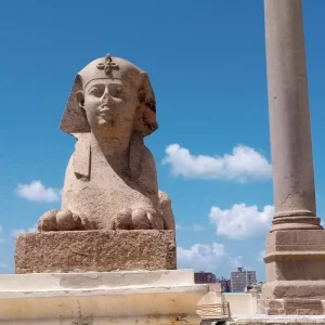 Explore Alexandria Highlights: Full Day Trip From Cairo including Lunch for 1 days with Egypt Gift Tours and discover unforgettable experiences - Photo 6