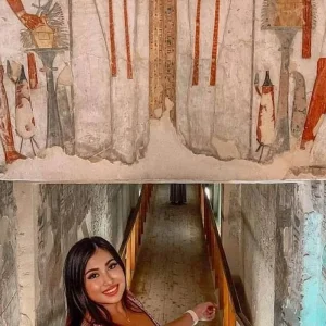 Explore Discover Egypt 8-Days Cairo, Nile Cruise, Abu Simbel and Alexandria From Cairo for 8 days with Egypt Gift Tours and discover unforgettable experiences - Photo 10