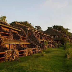 Explore 16 Days The Great Herds of Kenya & Tanzania Migration Signature Safari for 16 days with Exciting Africa Holidays and discover unforgettable experiences - Photo 2