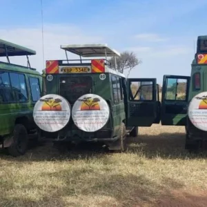 Explore 13 Day East Africa’s Golden Savannahs Year-Round Migration Safari for 13 days with Exciting Africa Holidays and discover unforgettable experiences - Photo 6