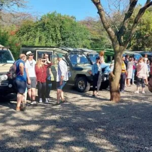 Explore 13 Day East Africa’s Golden Savannahs Year-Round Migration Safari for 13 days with Exciting Africa Holidays and discover unforgettable experiences - Photo 9