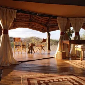 Explore 16 Days The Great Herds of Kenya & Tanzania Migration Signature Safari for 16 days with Exciting Africa Holidays and discover unforgettable experiences - Photo 9