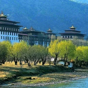 Explore 3 Nights 4 Days Bhutan Tour for 4 days with Himalaya Heart Treks & Expedition[P] Ltd  and discover unforgettable experiences - Photo 3