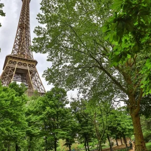 Explore Normandy & Gems of the Seine & Beautiful Bordeaux 2026|2027 - 21 Days for 21 days with Scenic Luxury Cruises & Tours and discover unforgettable experiences - Photo 6