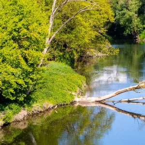 Explore Danube in Depth 2026|2027 - 10 Days (from Nuremberg to Budapest) for 10 days with Scenic Luxury Cruises & Tours and discover unforgettable experiences - Photo 6
