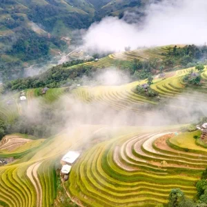 Explore Rice Terraces And Karsts - 7 days 6 nights Private Tour for 7 days with Custom Vietnam Travel and discover unforgettable experiences - Photo 3