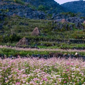 Explore Essential Ha Giang - 5 days 4 nights Private Tour for 5 days with Custom Vietnam Travel and discover unforgettable experiences - Photo 6