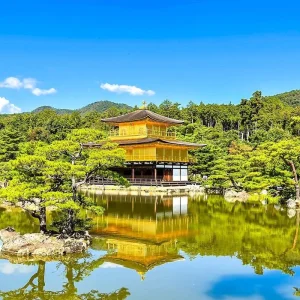 Explore Tailor-Made 10 Days Japan Family Tour (4-star Hotels), Daily Start & Private Guide for 10 days with Agate Travel and discover unforgettable experiences - Photo 8