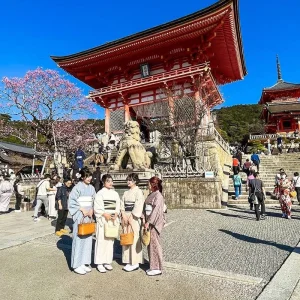 Explore Tailor-Made 10 Days Japan Family Tour (4-star Hotels), Daily Start & Private Guide for 10 days with Agate Travel and discover unforgettable experiences - Photo 9
