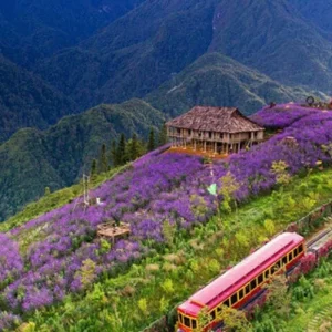 Explore Sapa Panorama - 3 days 2 nights Private Tour for 3 days with Custom Vietnam Travel and discover unforgettable experiences - Photo 6