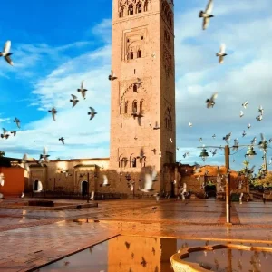 Explore 3-Day Casablanca to Merzouga Desert Tour with Camel Trek for 3 days with Desertbrise Travel and discover unforgettable experiences - Photo 5