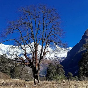 Explore Manaslu Circuit Trek for 16 days with Himalayan Sanctuary Adventure and discover unforgettable experiences - Photo 5