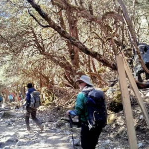 Explore Manaslu Circuit Trek for 16 days with Himalayan Sanctuary Adventure and discover unforgettable experiences - Photo 6