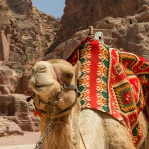 Explore HURGHADA DESERT BEDOUIN VILLAGE JEEP SAFARI Across the Sands of  the Red Land for 1 days with Experience Egypt Tours and discover unforgettable experiences - Photo 2