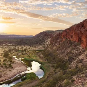 Explore 5 Day Trek The Larapinta Trail - A Guided Hiking Tour from Alice Springs for 5 days with Autopia Tours and discover unforgettable experiences - Photo 5
