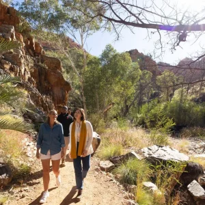 Explore 5 Day Trek The Larapinta Trail - A Guided Hiking Tour from Alice Springs for 5 days with Autopia Tours and discover unforgettable experiences - Photo 6