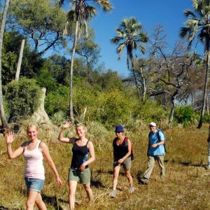 Explore 16 Day Botswana Pioneer (Camping) for 16 days with Drifters Adventure Tours and discover unforgettable experiences - Photo 2