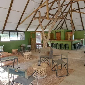 Explore 16 Day Botswana Explorer (Accommodated) for 16 days with Drifters Adventure Tours and discover unforgettable experiences - Photo 5