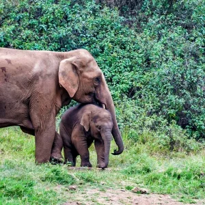 Explore Tailor-Made 8-Day Guided Thailand Tour with 4-star Hotel (Private Guide & Driver) for 8 days with Agate Travel and discover unforgettable experiences - Photo 3