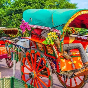 Explore Tailor-Made 7 Days Best India Golden Triangle Tour, Daily Depart & Private Guide for 7 days with Agate Travel and discover unforgettable experiences - Photo 10