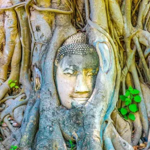 Explore Tailor-Made 8-Day Guided Thailand Tour with 4-star Hotel (Private Guide & Driver) for 8 days with Agate Travel and discover unforgettable experiences - Photo 8