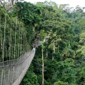 Explore Intro to Ghana – 4 Days for 4 days with Continent Tours and discover unforgettable experiences - Photo 3