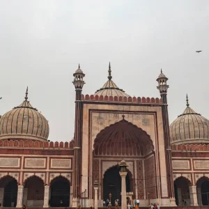 Explore 11D Splendid India Golden Triangle Tour: Delhi, Agra, Jaipur, Jodhpur, Udaipur, with a Thrilling Tiger Safari for 11 days with Coxan Tours and discover unforgettable experiences - Photo 3