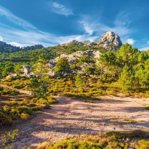 Explore Culinary voyage of discovery through Corsica for 8 days with DERTOUR and discover unforgettable experiences - Photo 7