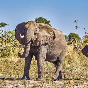 Explore Tailor-Made 9 Days Best South Africa Tours, Daily Departure & Private Trip for 9 days with Agate Travel and discover unforgettable experiences - Photo 7