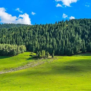 Explore Tailor-Made 10 Days Best Private Kyrgyzstan Tour, Exclusive Car & Daily Depart for 10 days with Agate Travel and discover unforgettable experiences - Photo 7