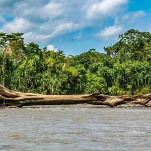 Explore Tailor-Made 9 Days Adventure to Enchanting Guyana, Daily Departure for 9 days with Agate Travel and discover unforgettable experiences - Photo 10